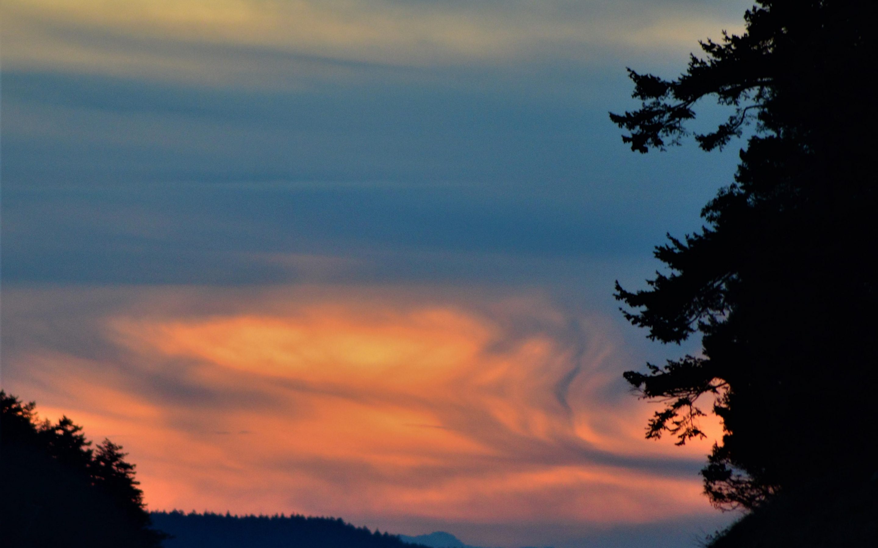 Notice the present moment